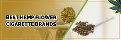 banner of best hemp flower cigarette brands