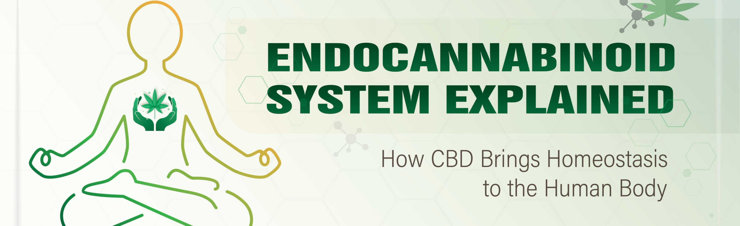 image of endocannabinoid systems