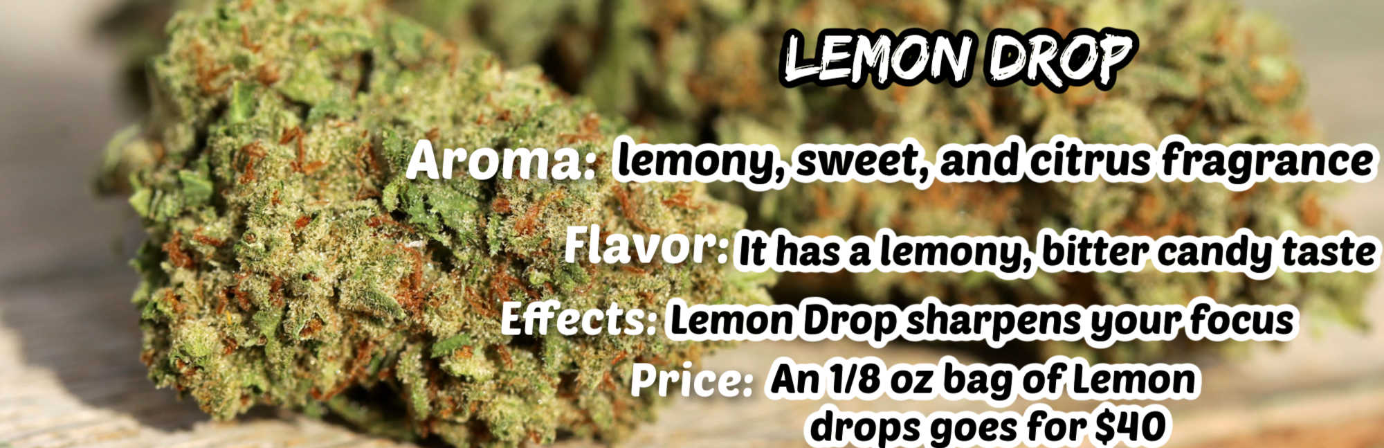 image of lemon drop hemp strain