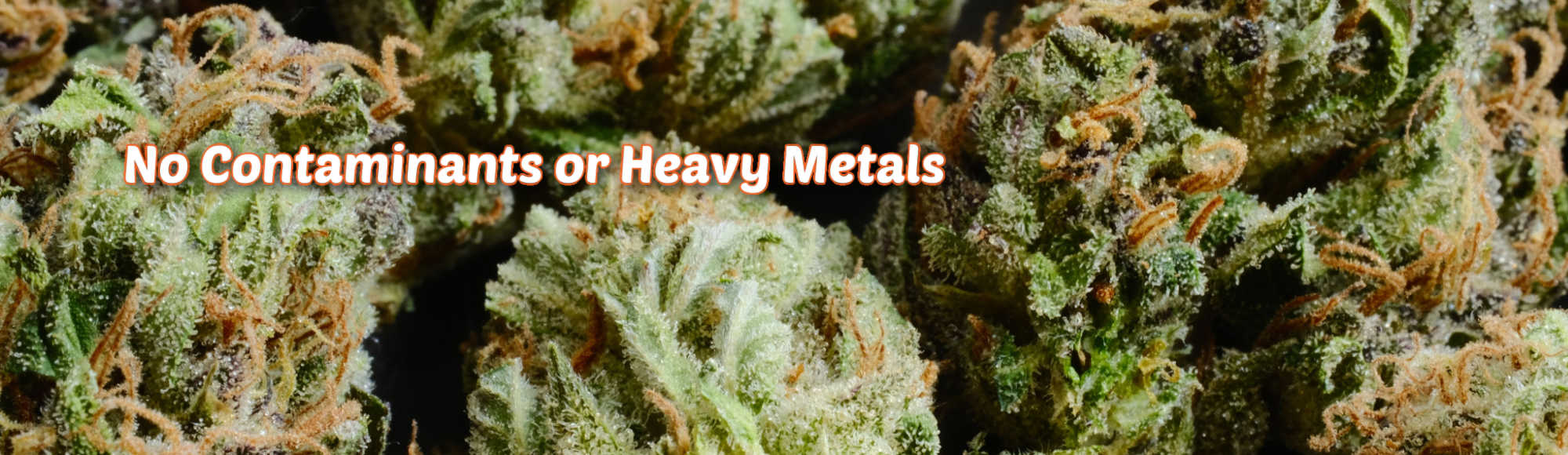 image of no contaminations or heavy metals in hydrophobic hemp flower