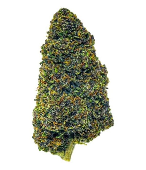 a single bud of Legendary Platimun OG cbd bud on a white background. the flower is neatly trimmed and looks to be of high quality