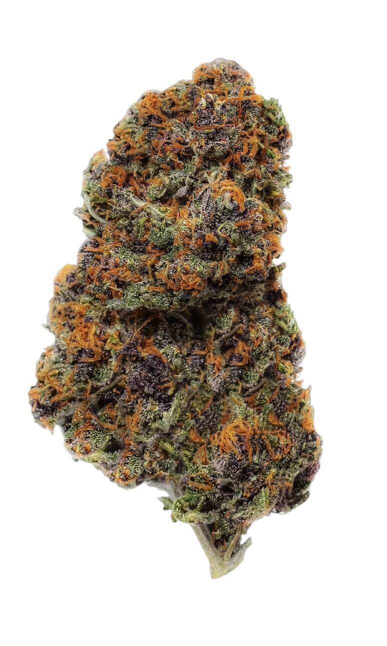 a single bud of pink panther cbd bud on a white background. the flower is neatly trimmed and looks to be of high quality
