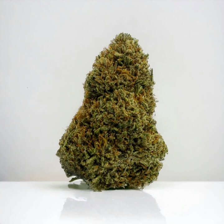 a single bud of raspberry bear claw cbd bud on a white background. the flower is neatly trimmed and looks to be of high quality