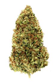 cake berry brule flower