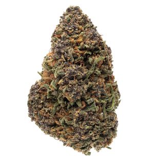 Saphire kush cbd hemp bud